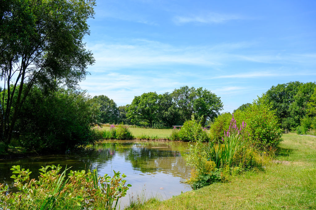 Runshaw Lane Euxton